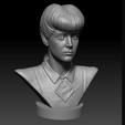 Capture d’écran 2018-04-05 à 11.47.55.png Descargar archivo OBJ gratis Rachel・Modelo para la impresora 3D
