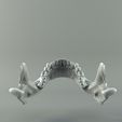 13624396bf04f80a31280f2f770621f6_preview_featured.jpg Archivo STL gratis Cráneo humano・Plan de impresión en 3D para descargar