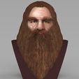 gimli-lord-of-the-rings-bust-full-color-3d-printing-ready-3d-model-obj-stl-wrl-wrz-mtl (1).jpg Gimli Lord of the Rings bust full color 3D printing ready