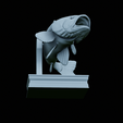 Bass-trophy-41.png Largemouth Bass / Micropterus salmoides fish in motion trophy statue detailed texture for 3d printing