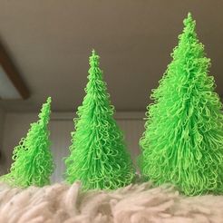 IMG_3568.jpg Christmas Tree/ Pine Tree