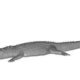 croco-1.jpg STL file Crocodile・3D print design to download, Phil-creation