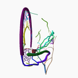 6.png DURAL VENOUS SINUS SEGMENTED MODEL