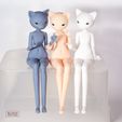 DSC09946.jpg BJD Doll stl 3D Model for printing Moony Cat Furry Anthro Ball Jointed Art Doll 35cm 20cm