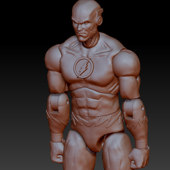 Persp2.png The Flash Articulated Action figure