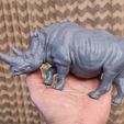 IMG_20251001_221709.jpg peça única de rinoceronte