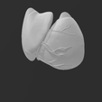 imagen_2023-07-29_173727888.png Magnetic anatomical human heart