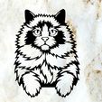 Sin-título.jpg ragdoll CAT CAT WALL DECORATION WALL HOUSE PET MASCOT CAT DECO WALL DECORATION