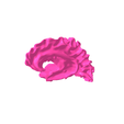 3.png White matter of right temporal lobe SEGMENTED