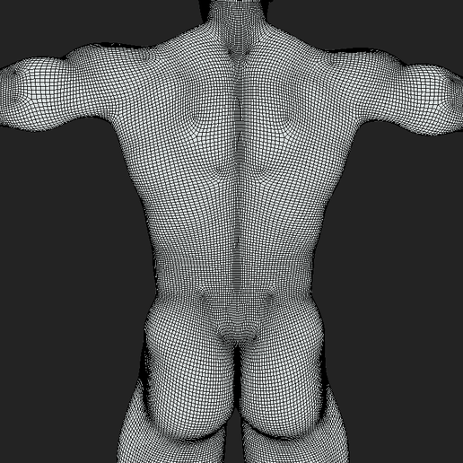 11.png Base du corps de l'homme T-Pose