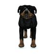 0.jpg DOG DOG - DOWNLOAD Rottweiler 3d model - animated CANINE PET GUARDIAN WOLF HOUSE HOME GARDEN POLICE - 3D printing DOG DOG DOG