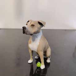 5.jpg STL file Stafford Terrier dog・3D print design to download