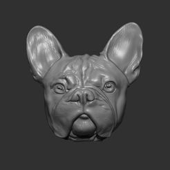 a.jpg Download STL file fridge magnet dog • 3D printable design, ashishdhola45