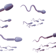 Sperm_Render_2.png Sperm Cell Anatomy