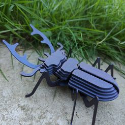 IMG20231009173823.jpg Stag Beetle Buildable Animal Figure