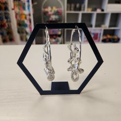 20230315_103301.jpg 3MF file Hexagon Large Earring Display・3D printable design to download