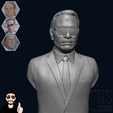 Ref_TLJ_-image418.png AGENT K - Tommy Lee Jones 3D print