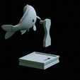Carp-trophy-statue-48.png fish carp / Cyprinus carpio in motion trophy statue detailed texture for 3d printing