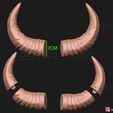 20.jpg Buffalo Horns - Satan Horns - Demon Horns