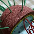 Prokaryotic Cell