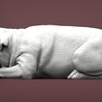 pug-for-3d-printing-3d-model-81274f592f-1.jpg pug is sleeping 3D print model