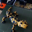 IMG_4766.jpg Movable figure of the salamander toy / print in place body