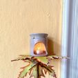 image0.jpeg Leaf bracket 2