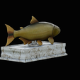 golden-dorado-statue-box-1-10.png fish golden dorado / Salminus brasiliensis with storage space / for 3d printing