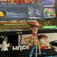 IMG_6136.jpg Woody