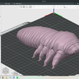 demodex-2.png Demodex Parazit