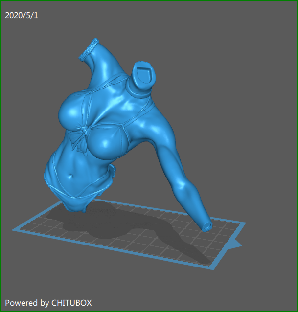 screenShot__SLA_Torso_Covered.png Free STL file Beach Fighter – by SPARX・Template to download and 3D print, SparxBM