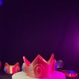 IMG_4475.jpeg princess peach crown with led lights