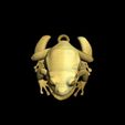 Visual Studio 2005.jpg Amazonic Indigenous Frog Pendant