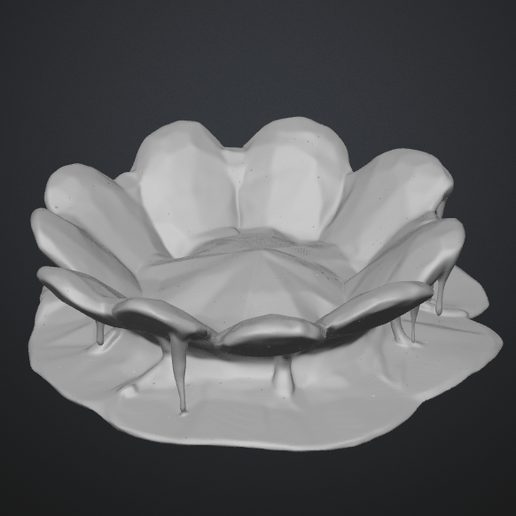 Jewelry/Keys/Keychains/Stuff Bowl/Holder/Organizer/Catcher - 3D model önizlemesi