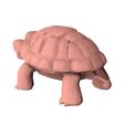 Turtle-low-poly0002.jpg Turtle low poly