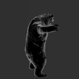 Screenshot_6.png Low Poly - Angry Bear Magnificent Design