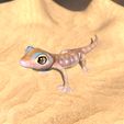 Pachydactylus-Rangei_Boden0006.jpg Namib Gecko -Pachydactylus rangaii-with full size texture + Zbrush Originals-STL 3D Print File-High Polygon