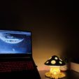 IMG_1790.jpg The Magic Mushroom Lamp!