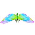 hku.jpg DOWNLOAD BUTTERFLY 3D MODEL - ANIMATED - BLENDER - MAYA - UNITY - UNREAL - CINEMA 4D - 3DS MAX -  3D PRINTING - OBJ - FBX - 3D PROJECT CREATOR BUTTERFLY BUTTERFLY INSECT