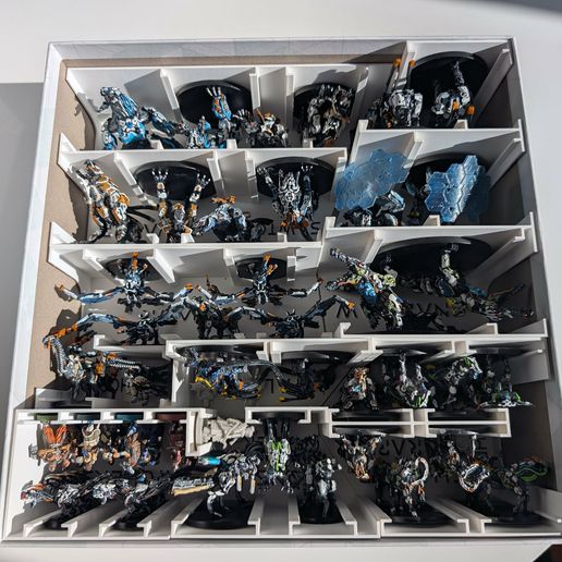 Horizon Zero Dawn - for Forbidden West game - Minis Insert / Organizer 3D