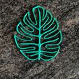IMG_20210215_172854.jpg Fichier 3D Collection de feuilles de Monstera・Objet pour impression 3D à télécharger