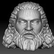 1.jpg Bruiser Brody action figure head