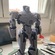 WhatsApp-Image-2025-11-19-at-2.45.07-PM.jpeg Gypsy danger(articulated)
