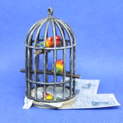 IMG_9678.jpg 1:12 Birdcage
