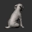 Fila-Brasileiro-puppy12.jpg Fila Brasileiro puppy 3D print model