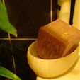 PB246041.jpg 3D file soap dish・3D printer model to download