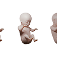 Ninth_Month_Render_01.png 3D file Month 9 Human embryonic (baby stages)・3D printable model to download