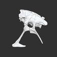 Bassin complet.jpg OBJ file Life size baby T-rex skeleton - Part 02/10・Model to download and 3D print