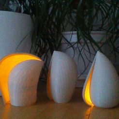 SURFACE_-_WIN_20140710_214809_display_large.jpg Free STL file Shell Shaped LED Lamp Shades・3D print design to download