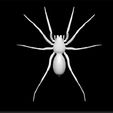 spider3.jpg Spider